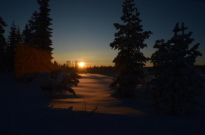 16 - Snø - Alpint - Langrenn - Snøscooter Ljørdalen